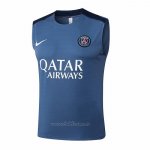 Camiseta de Entrenamiento Paris Saint-Germain Sin Mangas 2025-2026 Gris