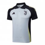 Camiseta Polo del Juventus 2024-2025 Gris