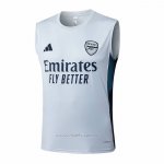 Camiseta de Entrenamiento Arsenal Sin Mangas 2025-2026 Gris