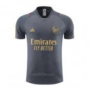 Camiseta de Entrenamiento Arsenal 2023-2024 Gris