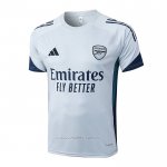 Camiseta de Entrenamiento Arsenal 2025-2026 Gris