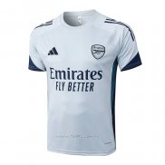 Camiseta de Entrenamiento Arsenal 2025-2026 Gris