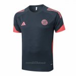Camiseta de Entrenamiento Bayern Munich 2025-2026 Gris Oscuro