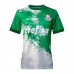 Camiseta Palmeiras Special 2024 Verde Gris Tailandia