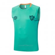 Camiseta de Entrenamiento Fluminense Sin Mangas 2025-2026 Verde