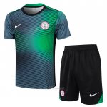 Chandal del Nigeria Manga Corta 2024-2025 Gris Verde - Pantalon Corto