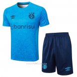 Chandal del Gremio Manga Corta 2024-2025 Azul - Pantalon Corto