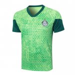 Camiseta de Entrenamiento Palmeiras 2024-2025 Verde