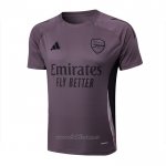 Camiseta de Entrenamiento Arsenal 2024-2025 Gris Purpura